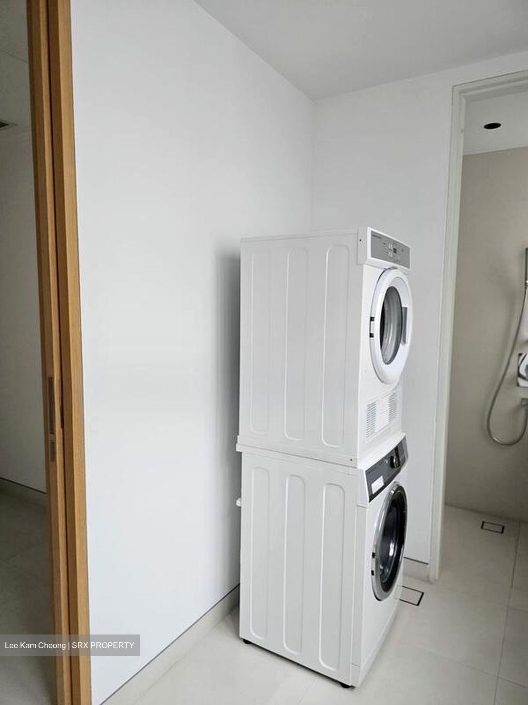 White House Residences (D10), Condominium #528798401